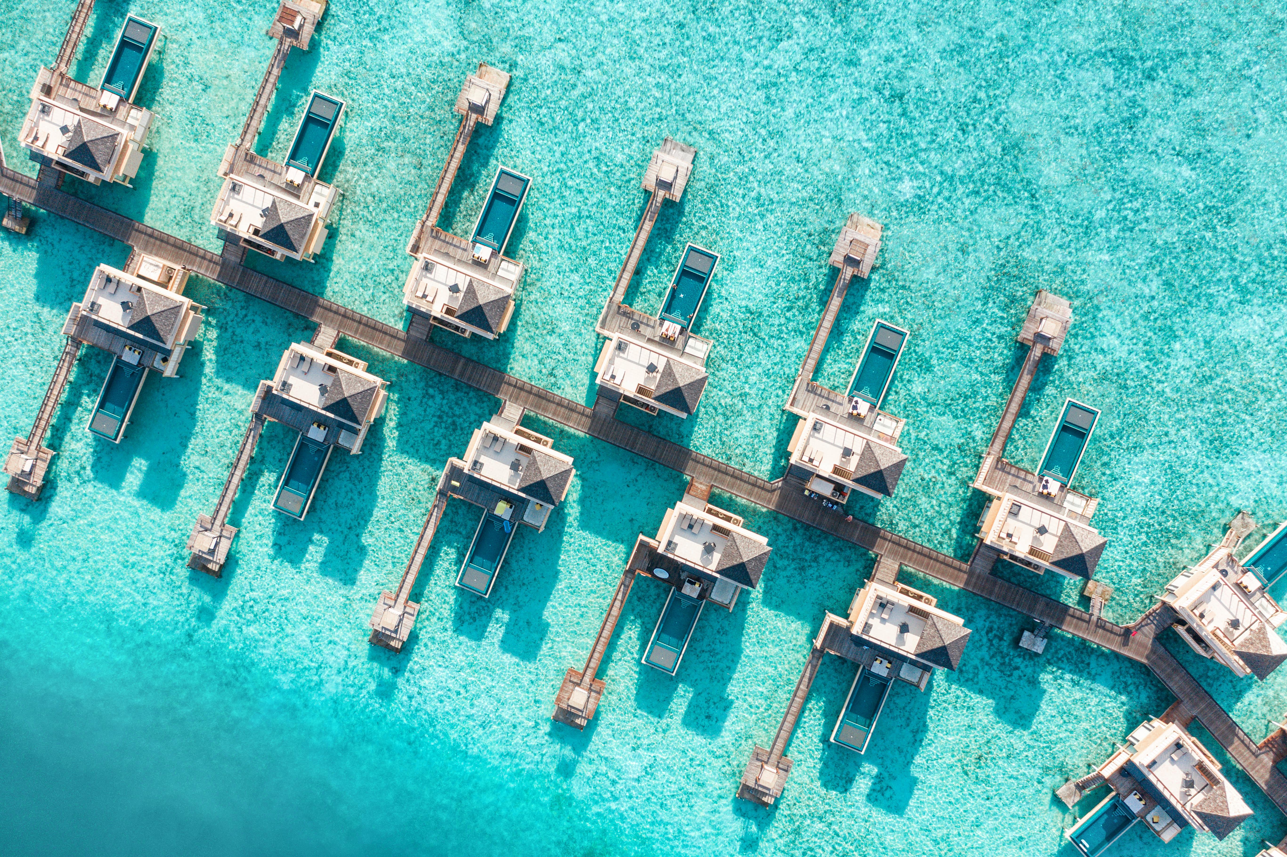 Angsana Velavaru - Enjoy 50 Percent Off Seaplane And 2 Times Free Excursions For 2 Pax, Book Period From18 June To 30 Sep 2025 Resort Meedhoo (Dhaalu Atoll)